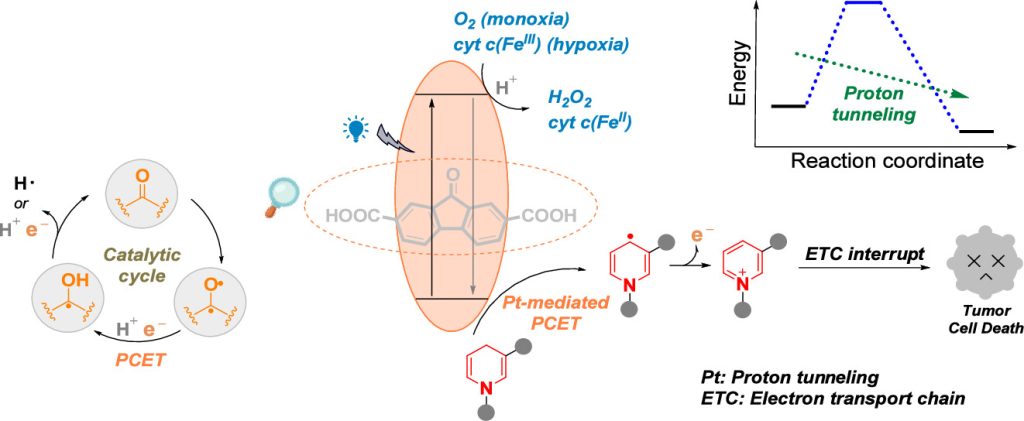 Proton tunneling allows a proton-coupled electron transfer process in the cancer cell